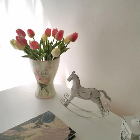 Oldtown Shelter With Free Private Parking Appartamento